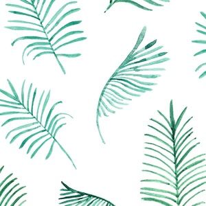 Meet your Posher, Kara