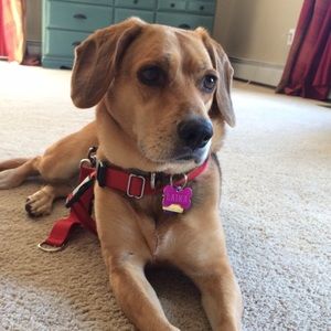 Meet your Posher, Natalie