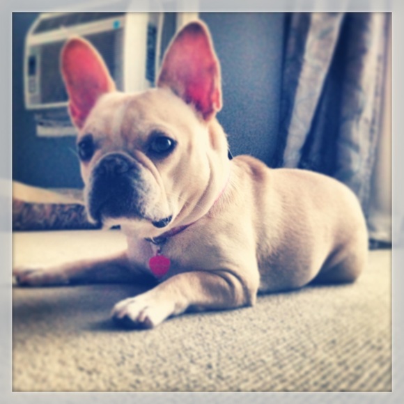 Meet your Posher, Sarah - Picture 3 of 4