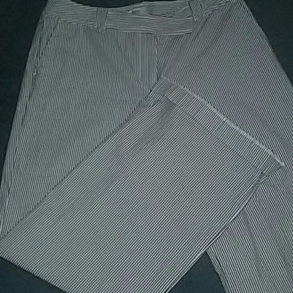 Ann Tylor Pants