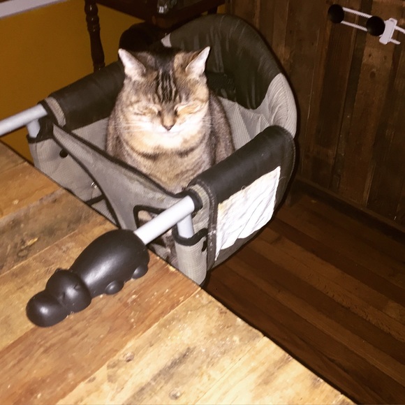 Meet your Posher, Karen - Picture 3 of 3