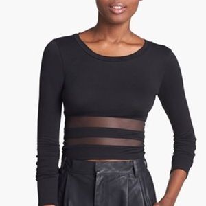 Crop Bodycon Mesh Stripe Tee