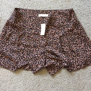 BRAND NEW Ann Taylor LOFT Dress Shorts (NWT)