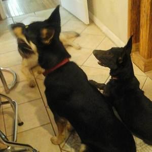 Meet your Posher, Richard