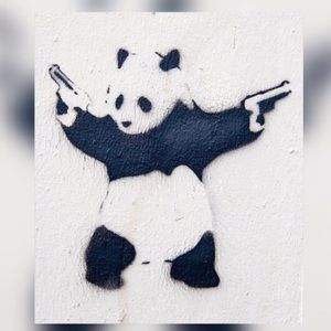 Meet your Posher, Zane