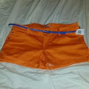 Orange Shorts With Royal Blue Thin Belt