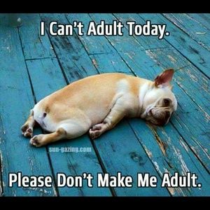 Meet your Posher, Allison