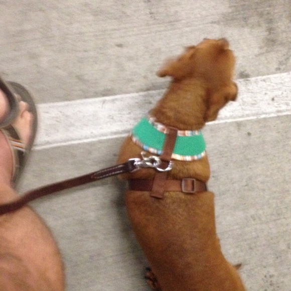 Meet your Posher, Jimmie - Picture 1 of 1