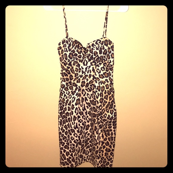 Cache Dress
