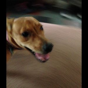 Meet your Posher, Kate