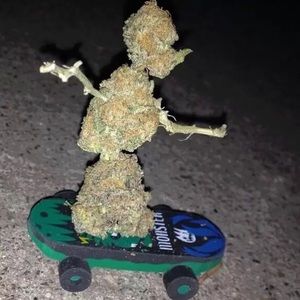 Meet your Posher, Mauricio