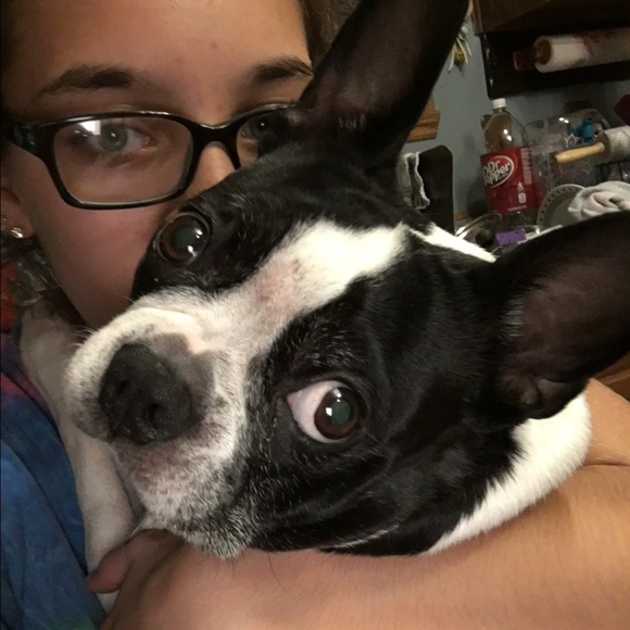 Meet your Posher, Ally - Picture 3 of 4