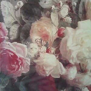 Meet your Posher, Kaci