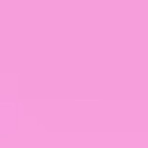 Meet your Posher, Ariana