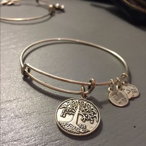 Alex & Ani tree of wisdom bracelet silver