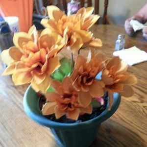 Meet your Posher, Annette