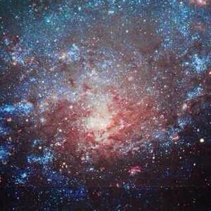 Meet your Posher, Adene