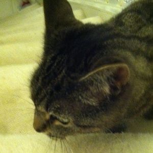 Meet your Posher, Emma