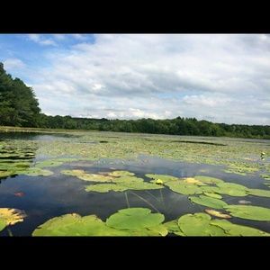 Meet your Posher, Michele