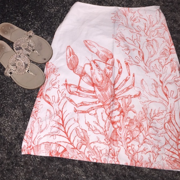 Anthropologie Skirt