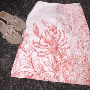 Anthropologie Skirt