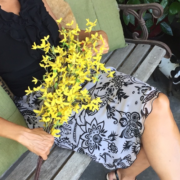 Petite Skirt - Picture 4 of 4