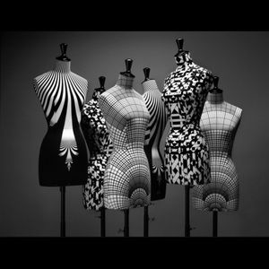 Meet your Posher, Shelly