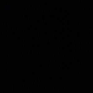 Meet your Posher, Ray