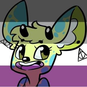 Meet your Posher, Jet