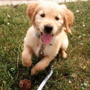 Meet your Posher, Nora