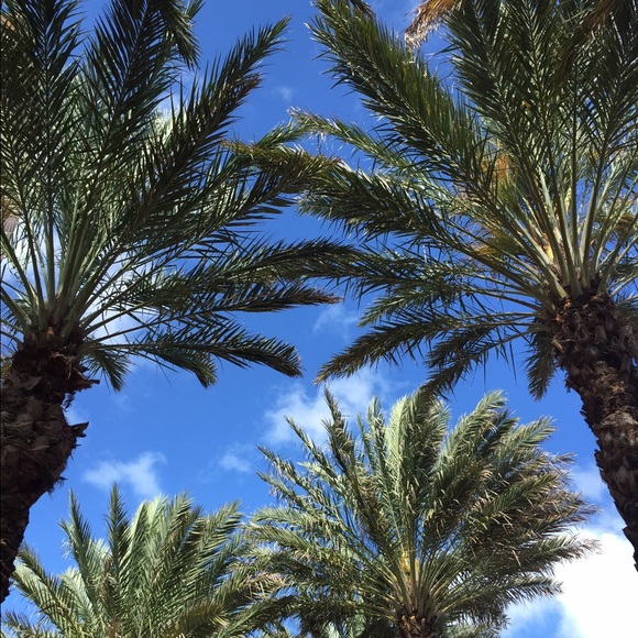 Meet your Posher, Jill