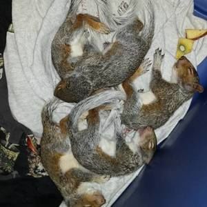 Meet your Posher, Kristi