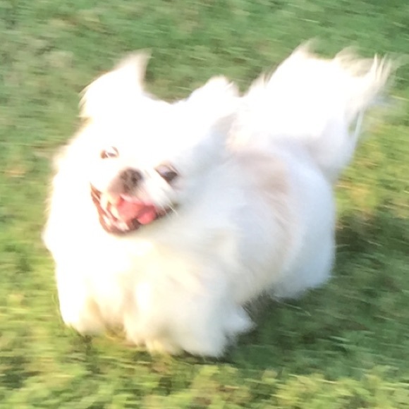 Meet your Posher, Sophia