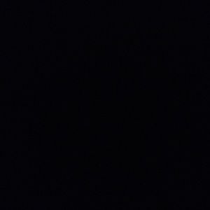 Meet your Posher, Bridget