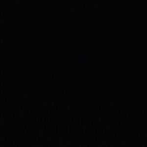 Meet your Posher, Tamara