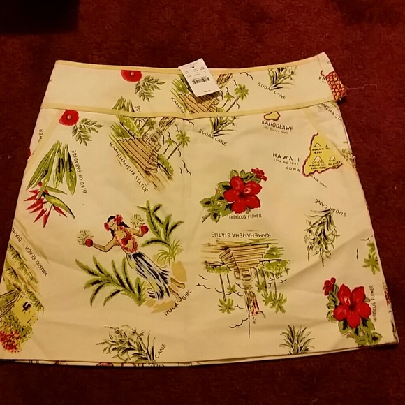 J.Crew Skirt
