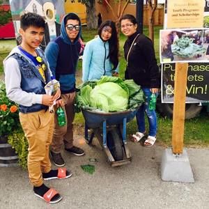 Meet your Posher, Liz