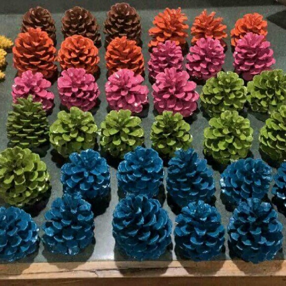 SALE! Pine Cones - FULL COLOR/PAINTED - Picture 1 of 1