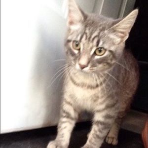 Meet your Posher, Alanah