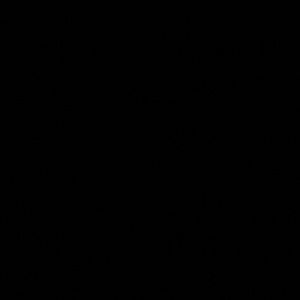 Meet your Posher, Miranda