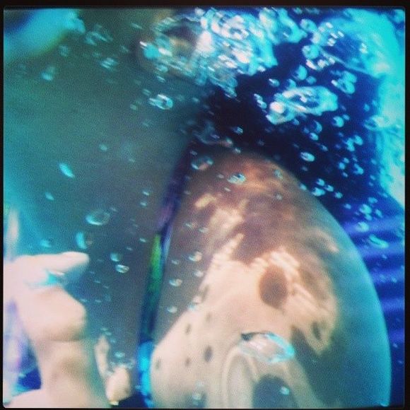 Meet your Posher, Mikhaela