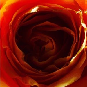 Meet your Posher, Felecia