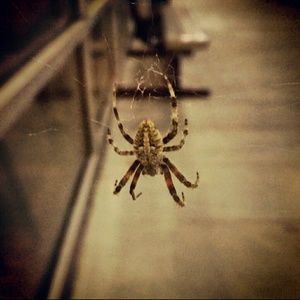 Meet your Posher, Karla