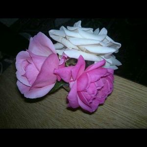 Meet your Posher, Robert