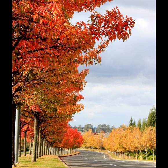 Bundle-buying more than 1 item from same closet 🎁 - Picture 5 of 5