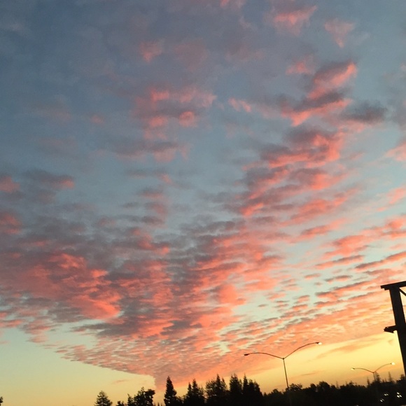 Bundle-buying more than 1 item from same closet 🎁 - Picture 2 of 5