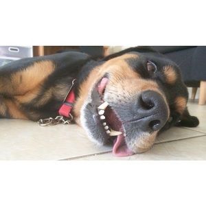 Meet your Posher, Jocelyn