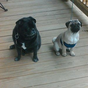 Meet your Posher, Sandra