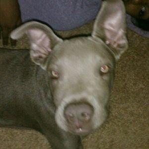 Meet your Posher, Unique