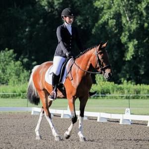 Meet your Posher, Darian